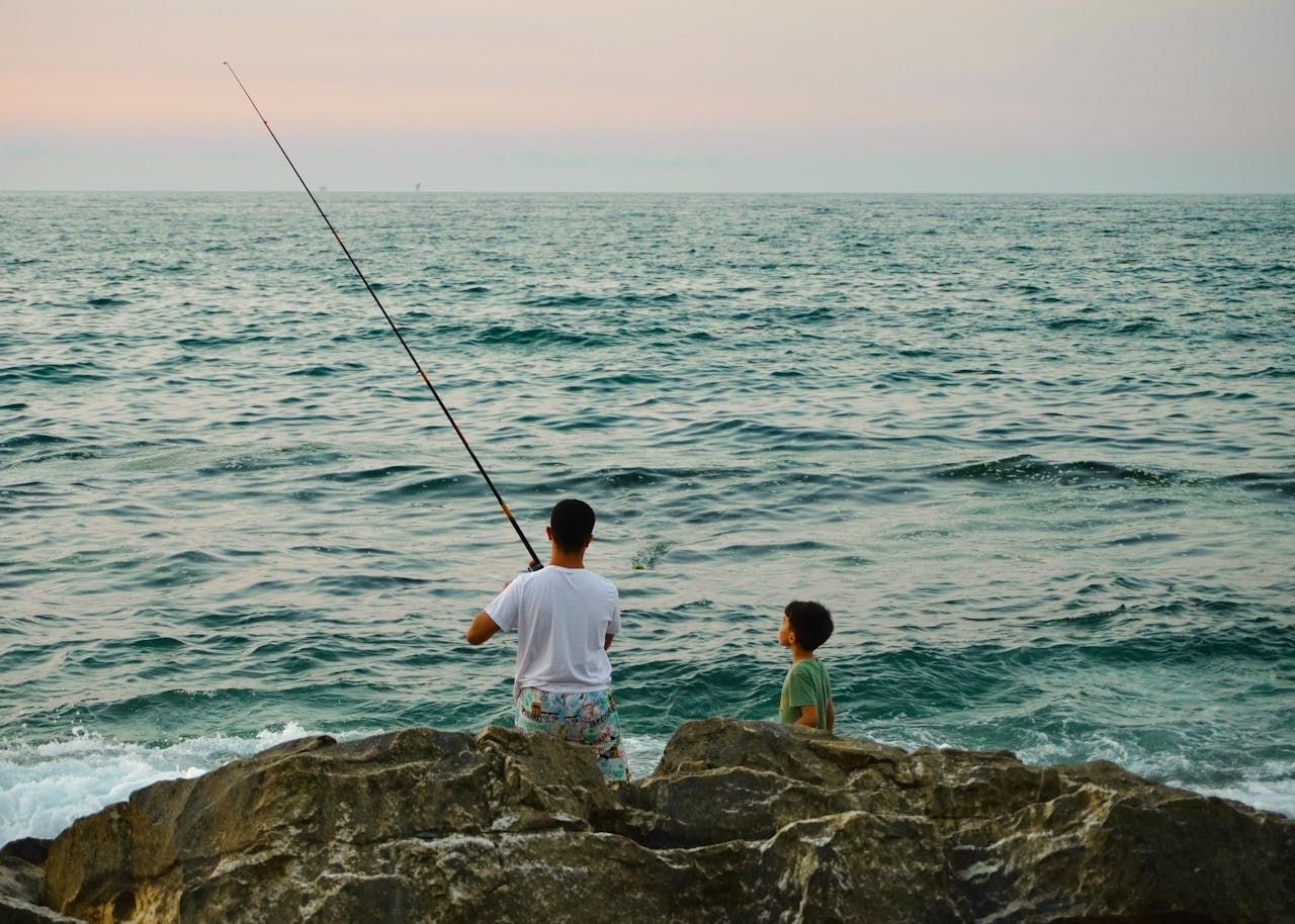 VMI individuali veikla su pažyma. Detaliau apie pažymos užsakymą, keitimą ir nutraukimą